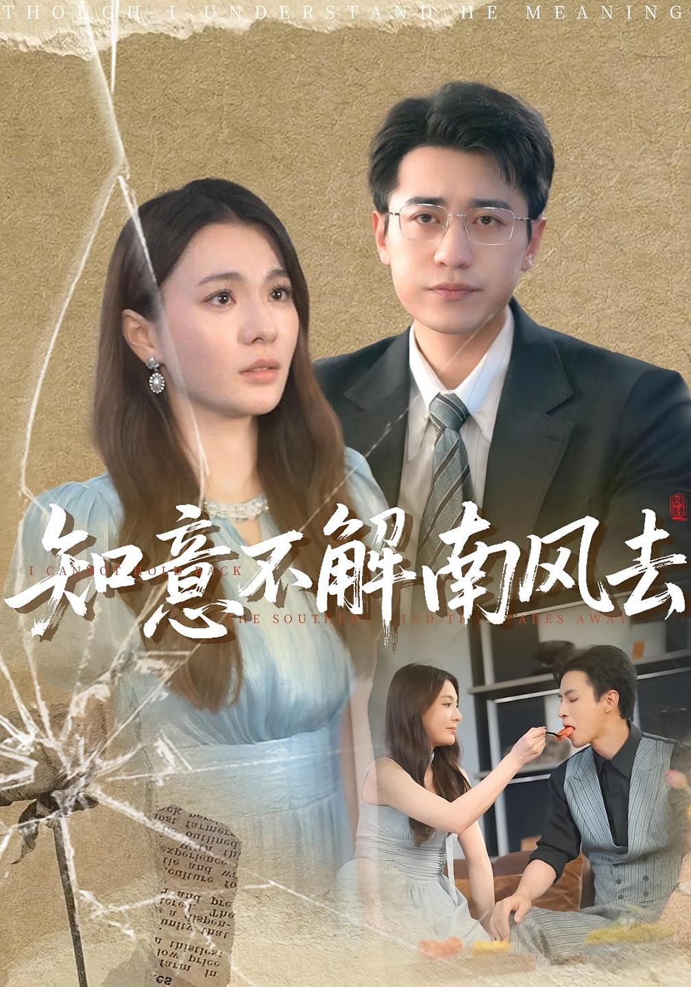 知意不解南风去 都市情感·都市·全90集 叶台情&白家宁&林歆恩