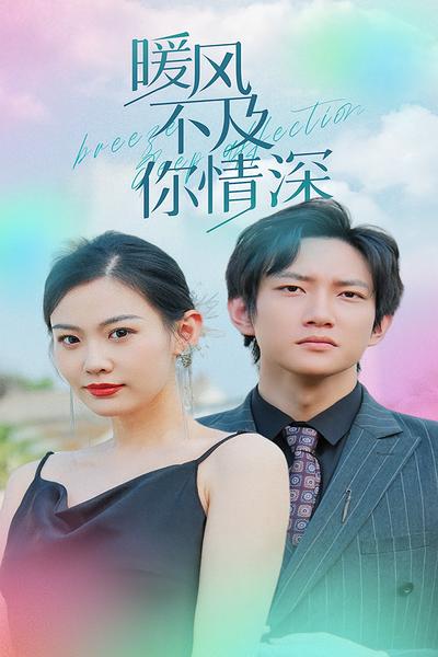 暖风不及你情深封面图