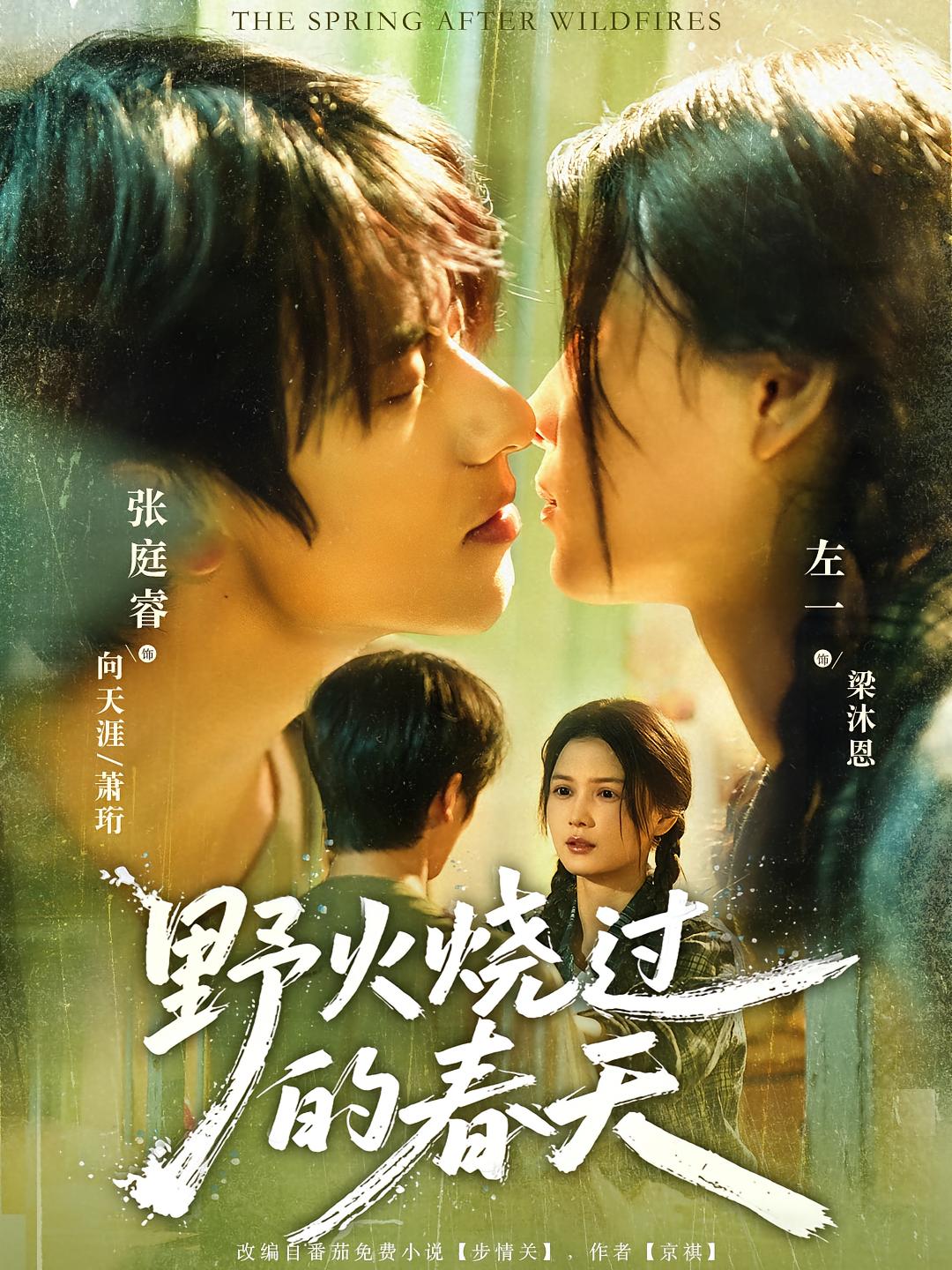 野火烧过的春天 女性成长·女强·全85集 左一&萨钢云&高雅