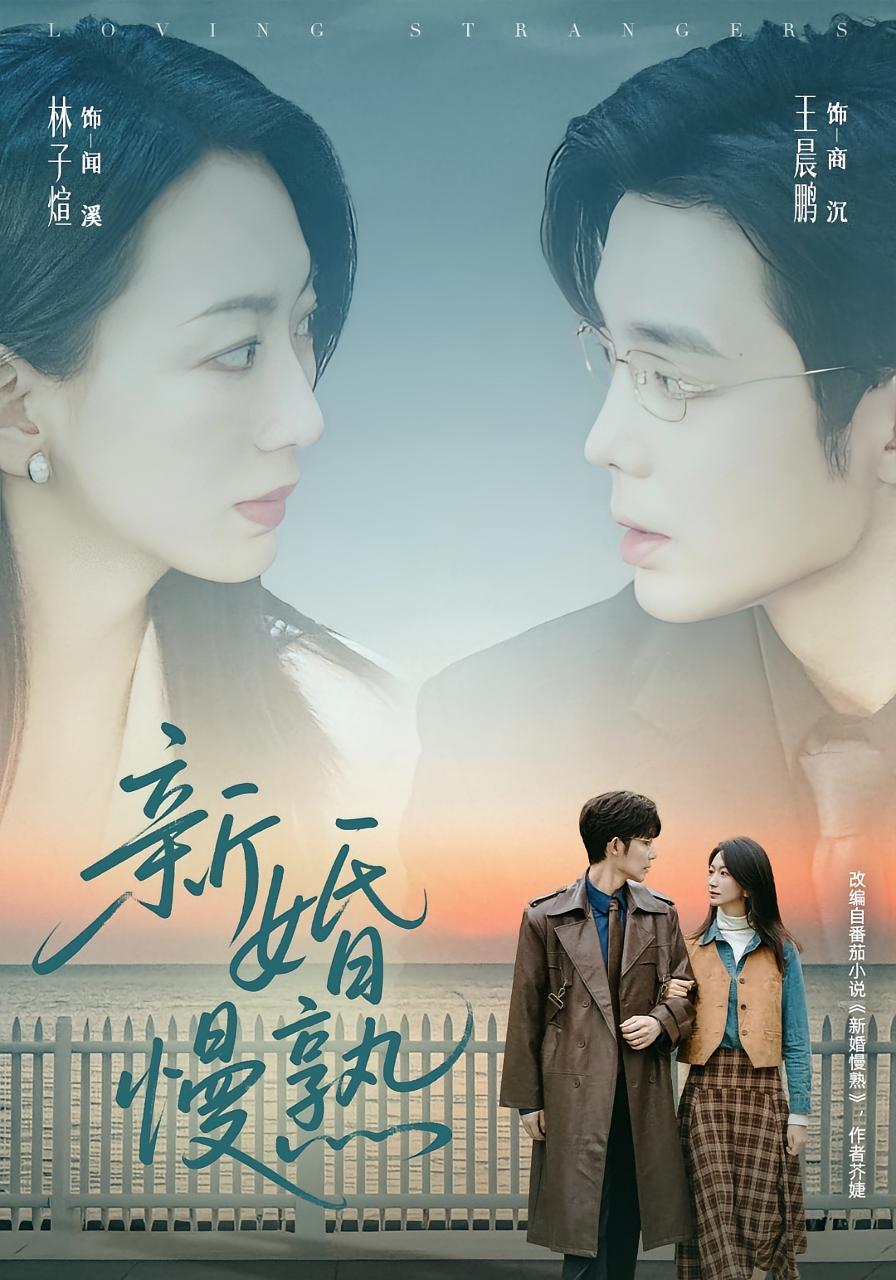 新婚慢熟 都市情感·都市·全105集 王晨鹏&车婷婷&王盛楠