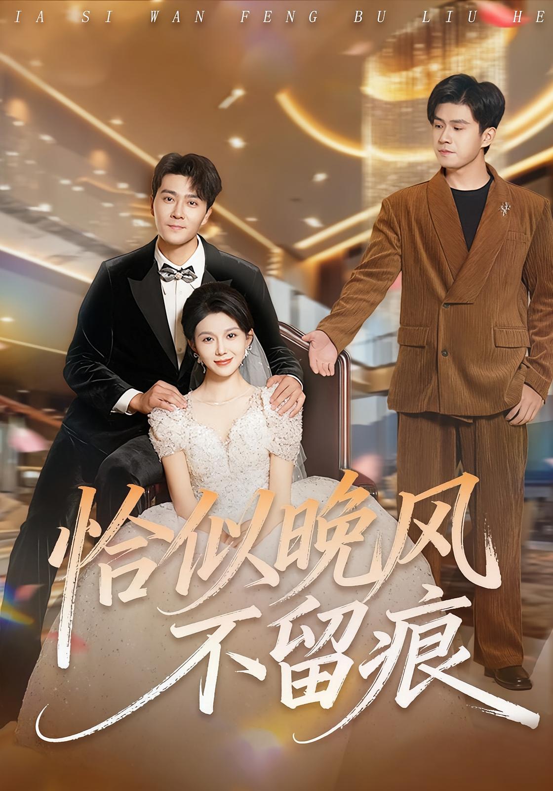 恰似晚风不留痕 女性成长·都市·全61集 孔莹莹&田不凡