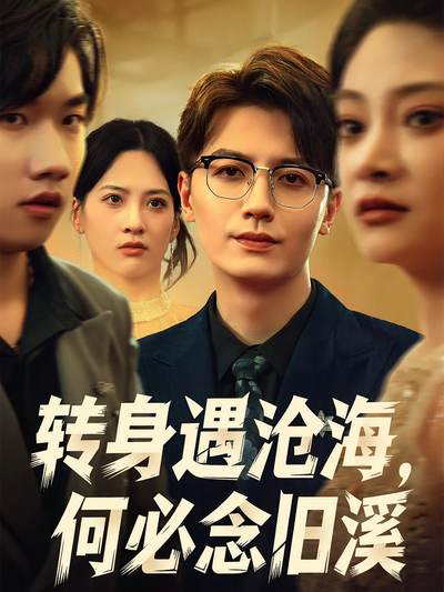 转身遇沧海何必念旧溪封面图