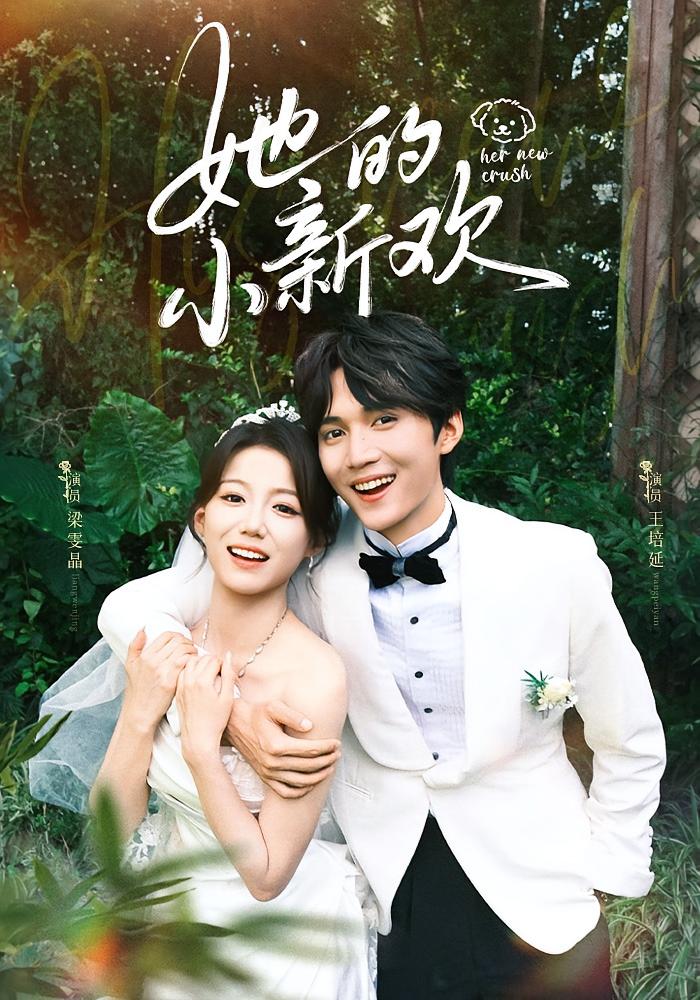 她的小新欢 都市情感·都市·全84集 王培延&庄芈僮&董薇