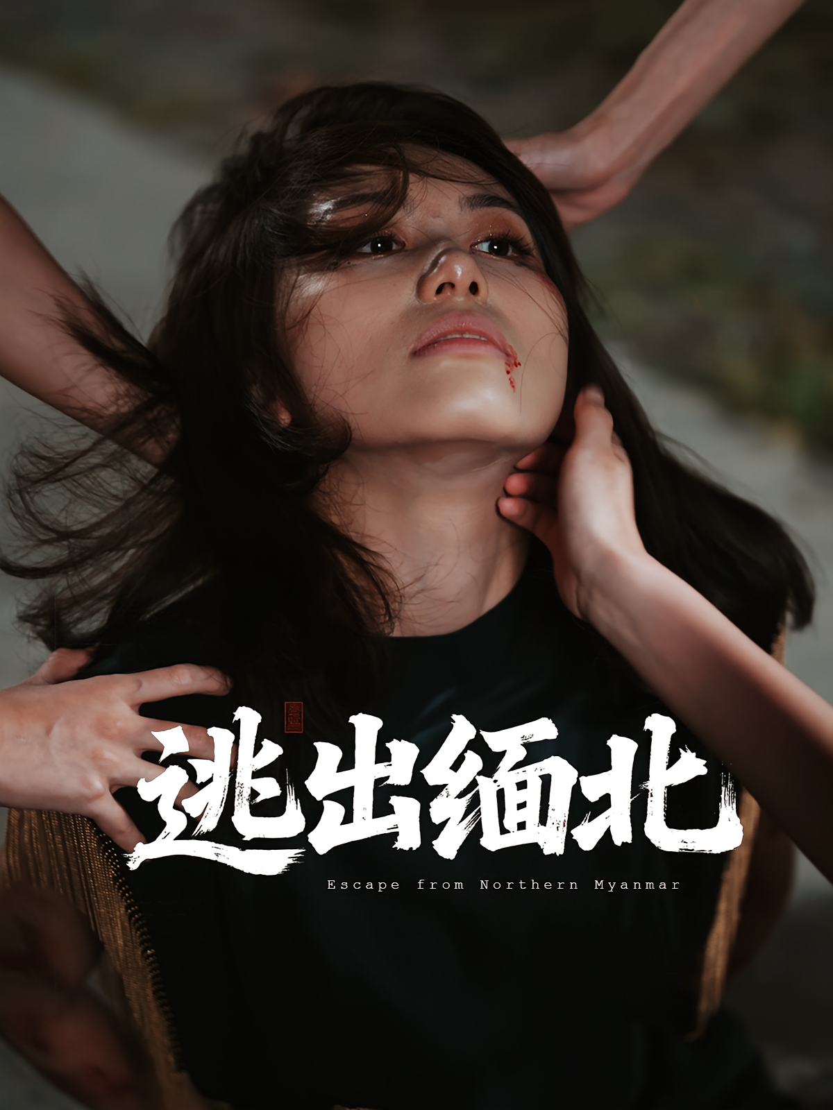 逃出缅北 犯罪·绝地逃生·全62集 汪芷萱&刘振安