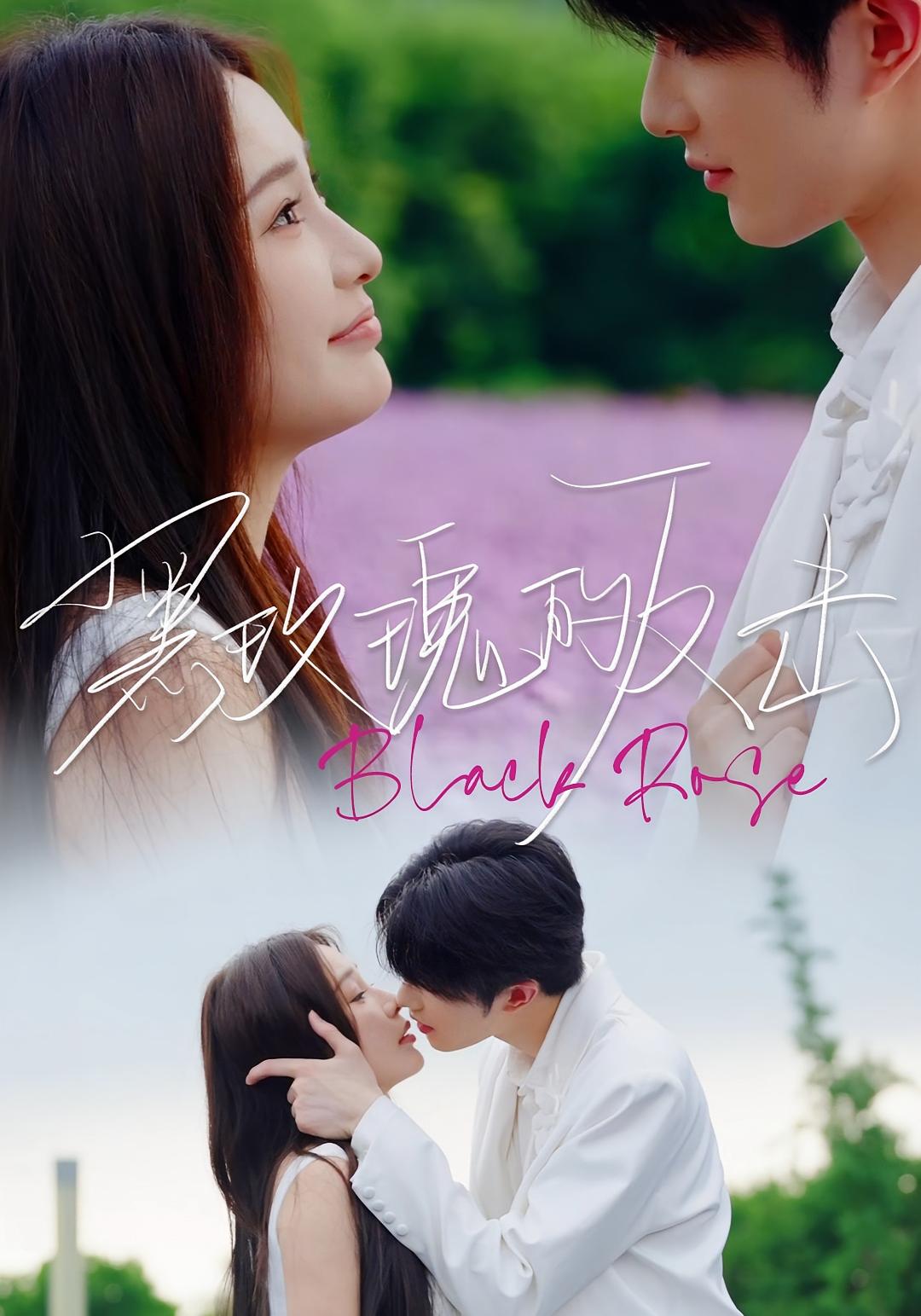 黑玫瑰的反击 都市情感·总裁·全47集 焦娇&裘哲夫