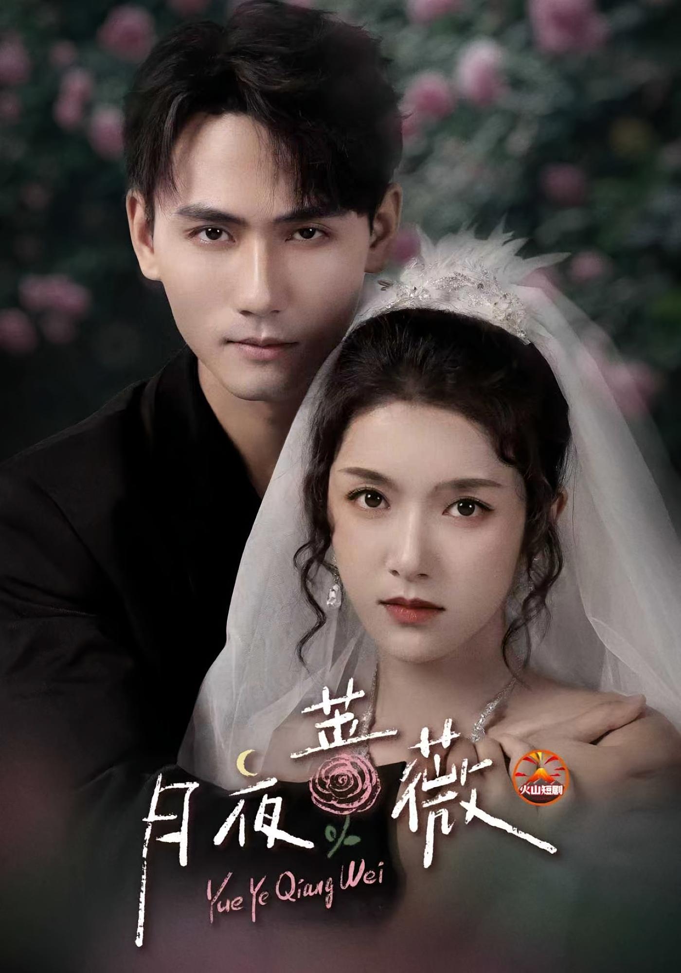 月夜蔷薇 都市情感·都市·全72集 卢鹿鹿&谢予望&陈泊妤