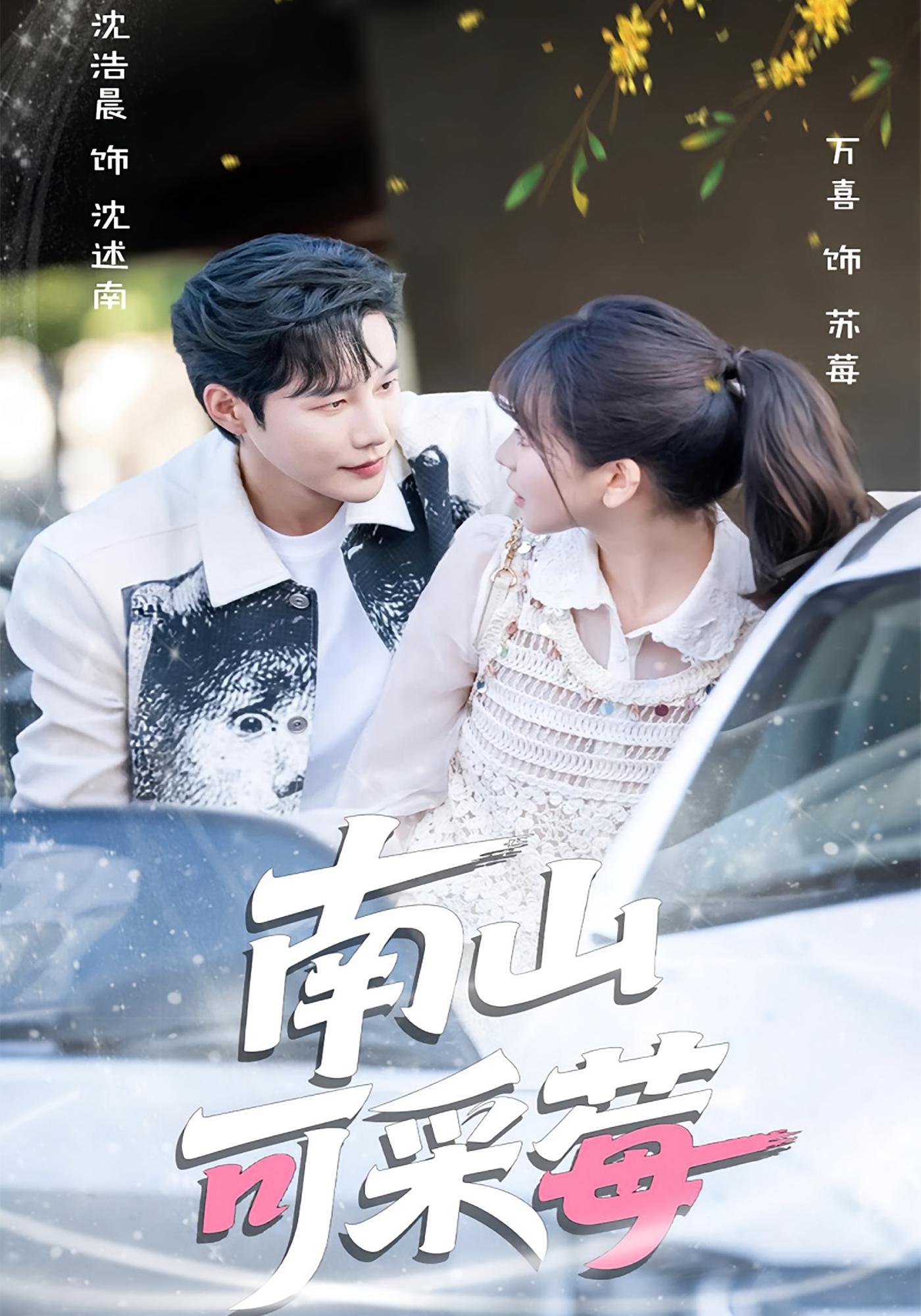 南山可采莓 都市情感·都市·全66集 徐波滴&沈浩晨&唐晨