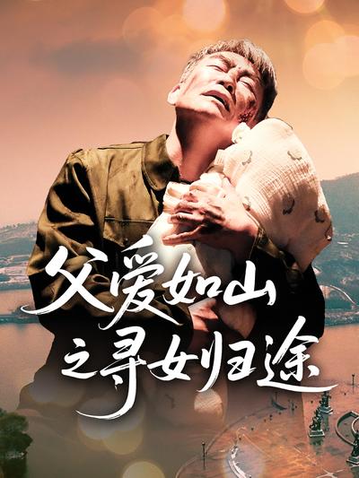 父爱如山之寻女归途封面图