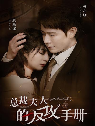 总裁夫人的反攻手册封面图
