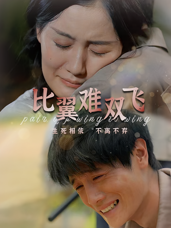 比翼难双飞 都市情感·虐恋·全30集 刘方为&林清&黄健