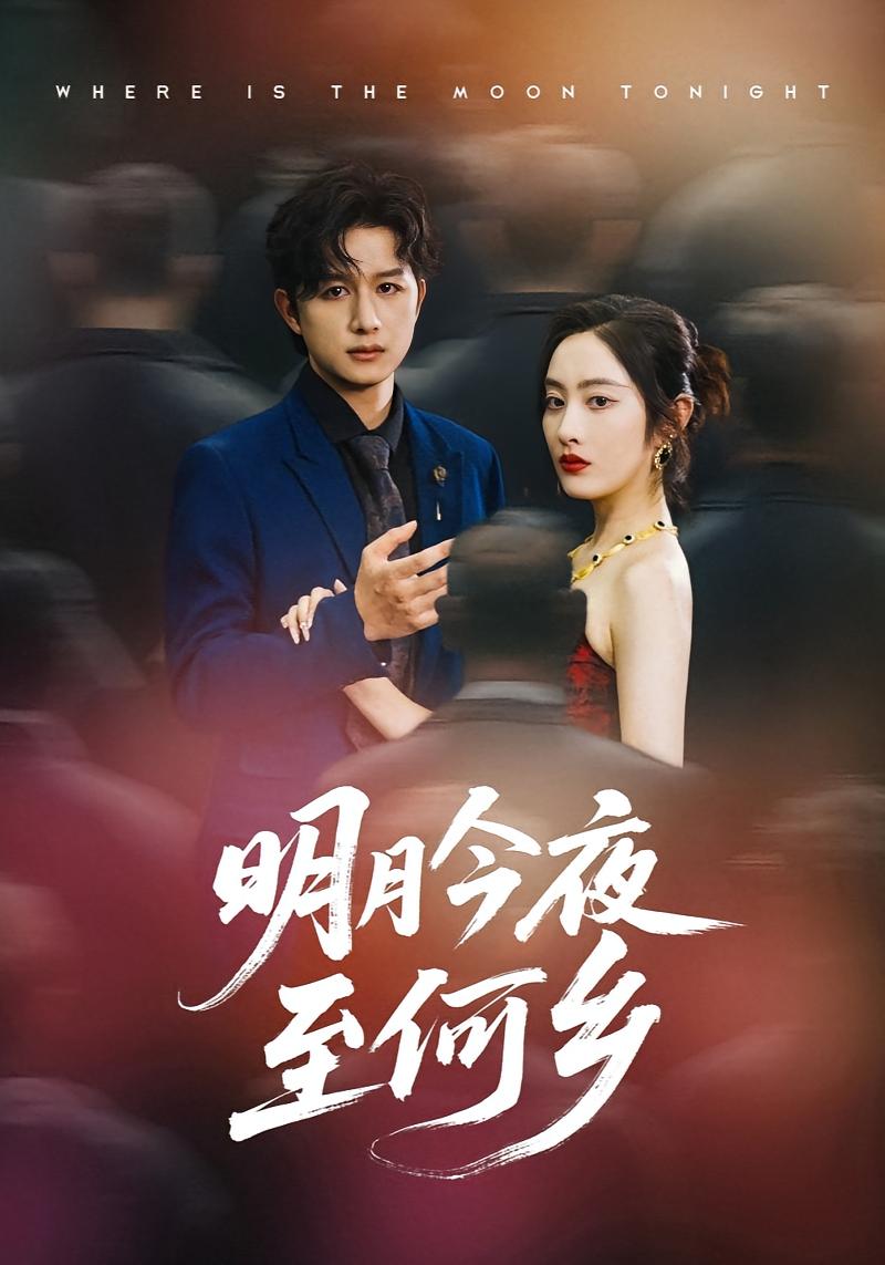 明月今夜至何乡 女性成长·都市·全70集 生宸&刘芷含&陈明