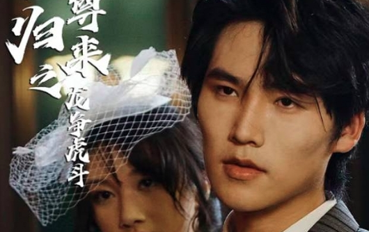 至尊归来之龙争虎斗