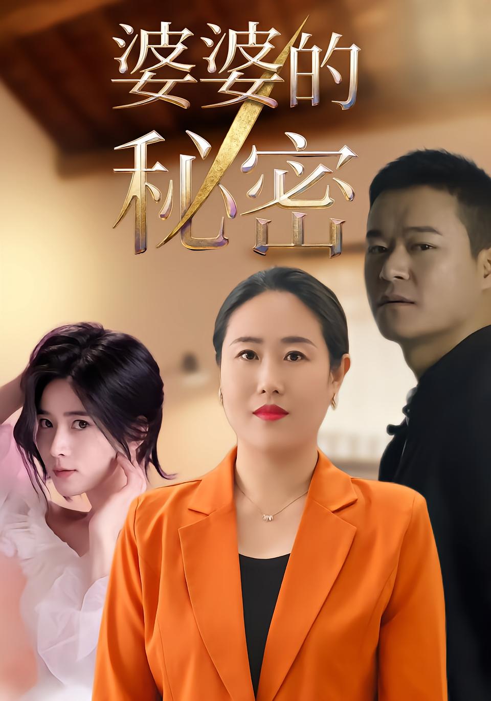 婆婆的秘密封面图