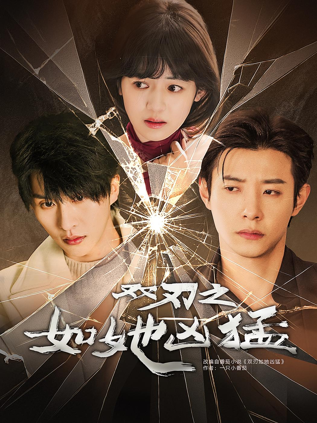 双刃之如她凶猛 都市情感·都市·全63集 马小宇&张集骏&业文Kevin