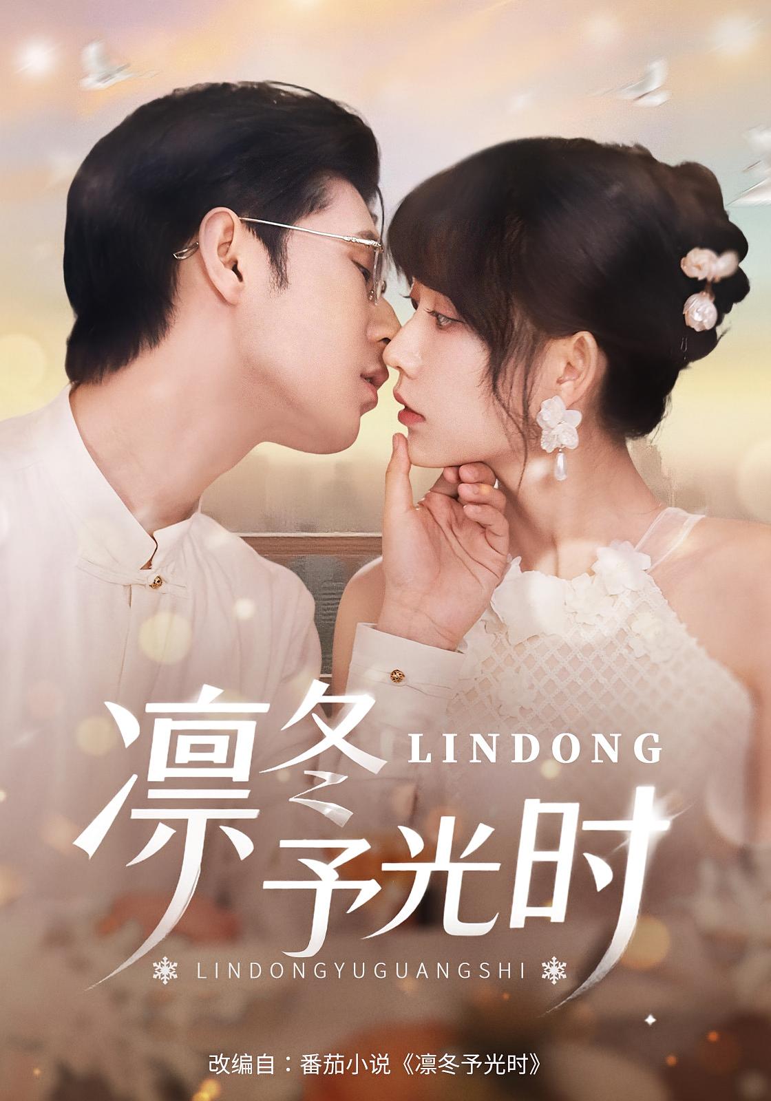 凛冬予光时 都市情感·都市·全60集 李启骏&李乐彤&盛晨