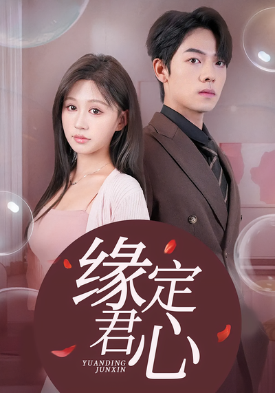 缘定君心封面图