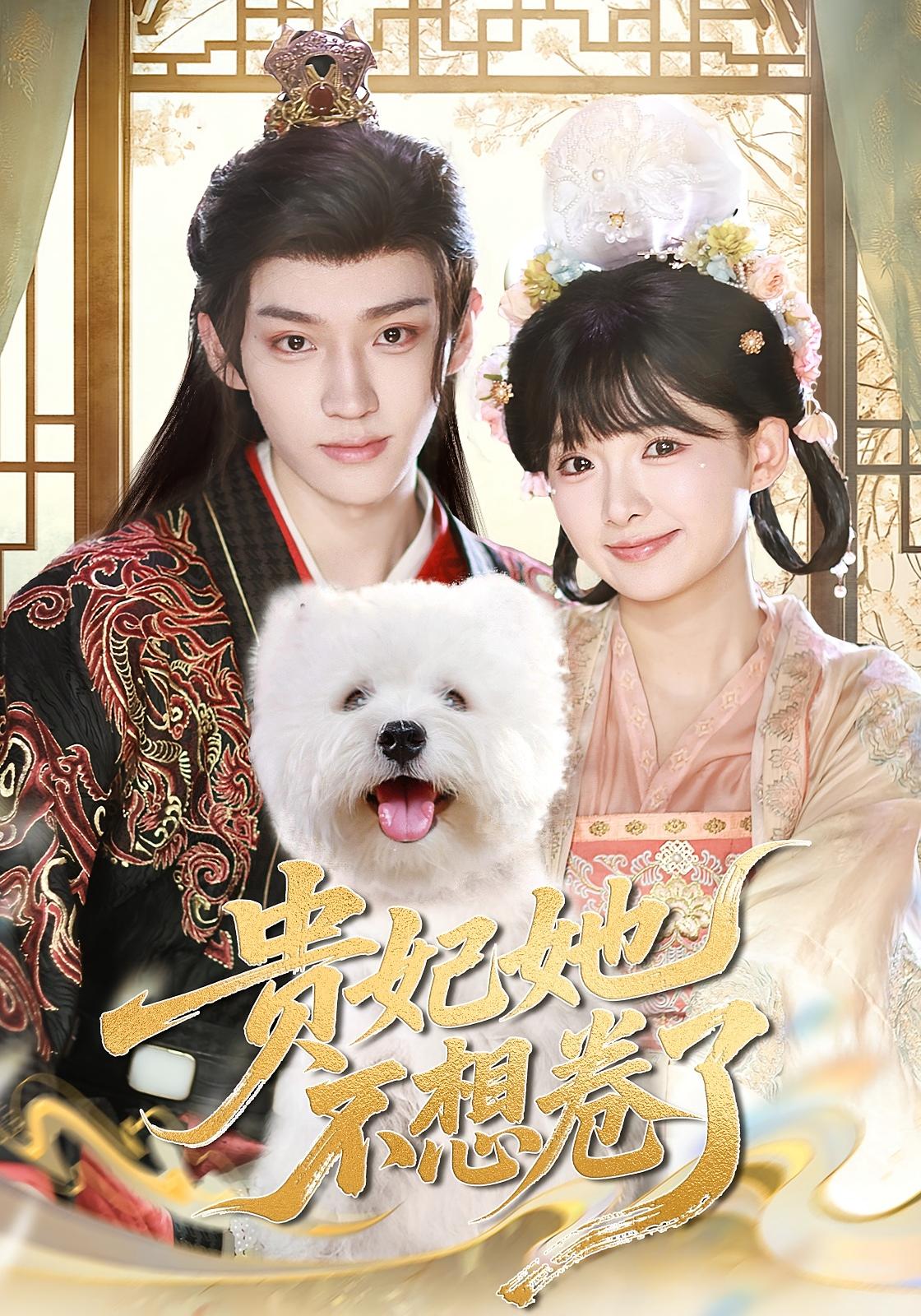 贵妃她不想卷了 奇幻爱情·穿越·全60集 张灯振&吴海波&莉莉崽