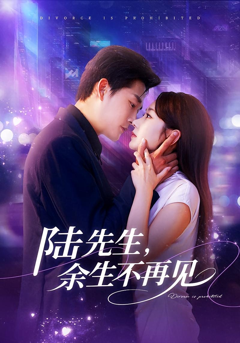 陆先生，余生不再见 都市情感·都市·全88集 张旋&孟嘉鑫&黄莺