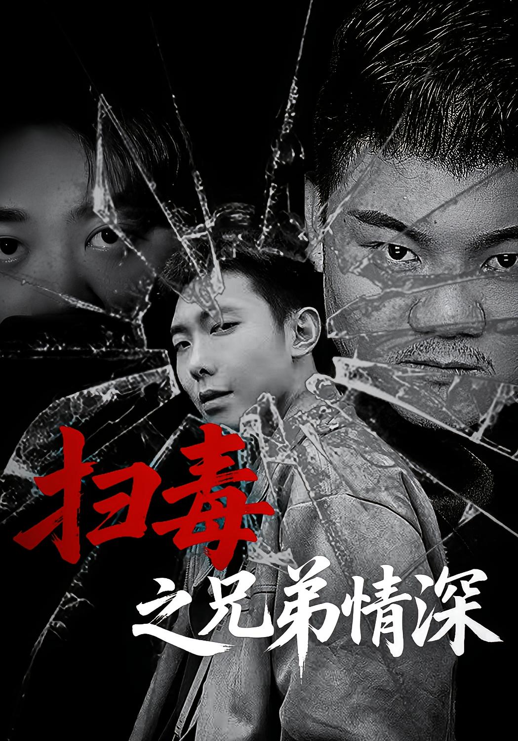 扫毒之兄弟情深 友情岁月·都市·全50集 芦伟&成国兰&陈小清