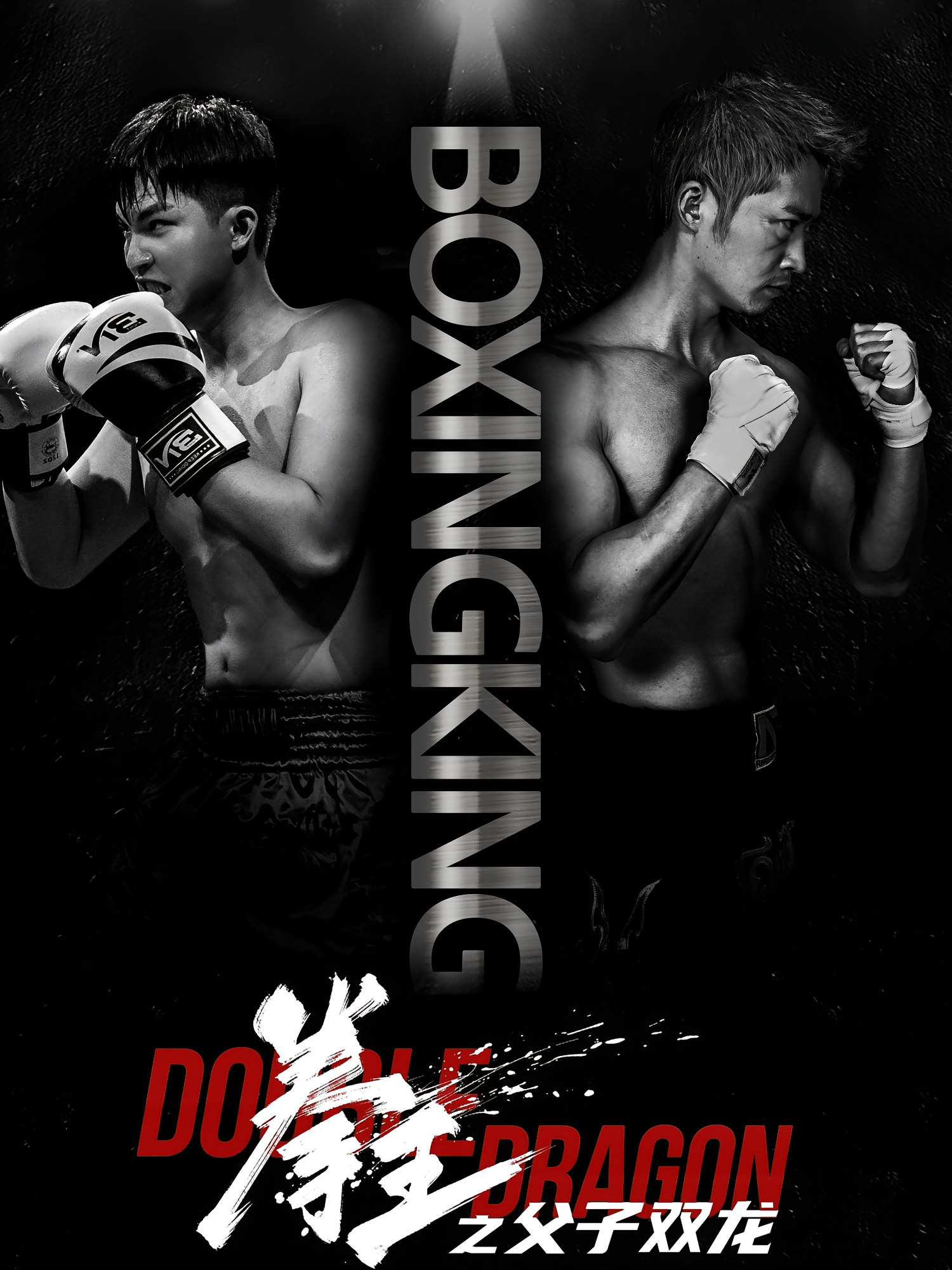 双龙逆战 动作·都市·全60集 邓威&乔馨莹&李媛菁