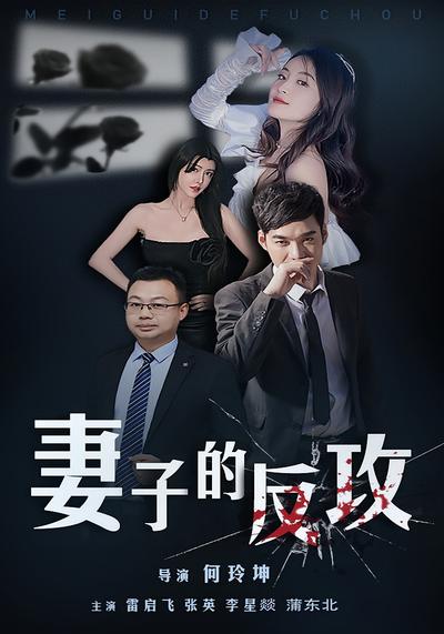 妻子的反攻封面图