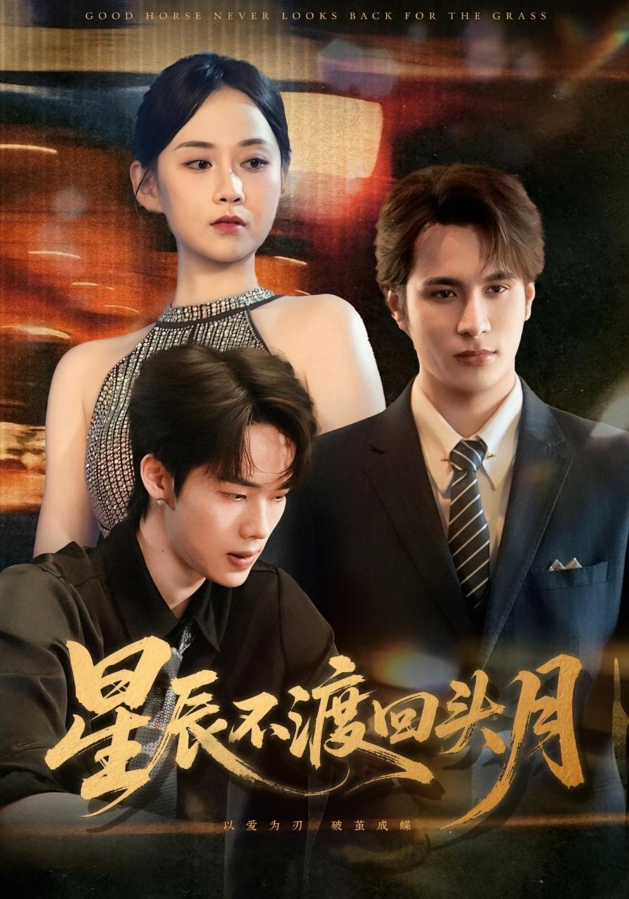 星辰不渡回头月 都市情感·都市·全60集 郭茗苑&余宗伟&杰苏尔
