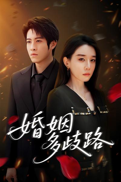 婚姻多歧路封面图
