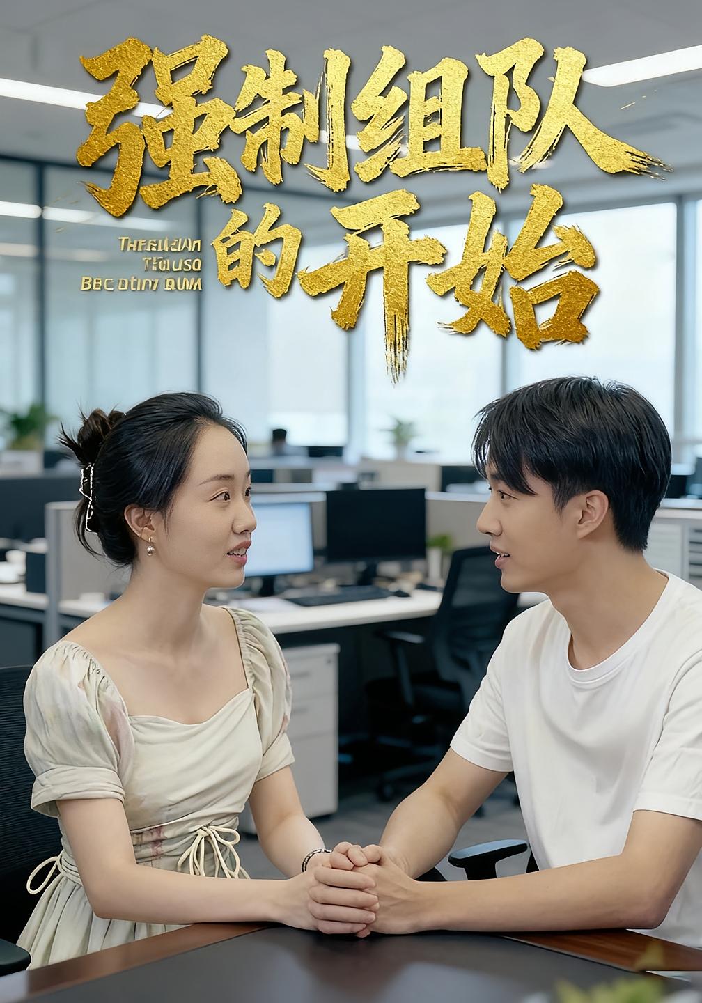 强制组队的开始 都市日常·都市·全16集 曹栋&曾渠清