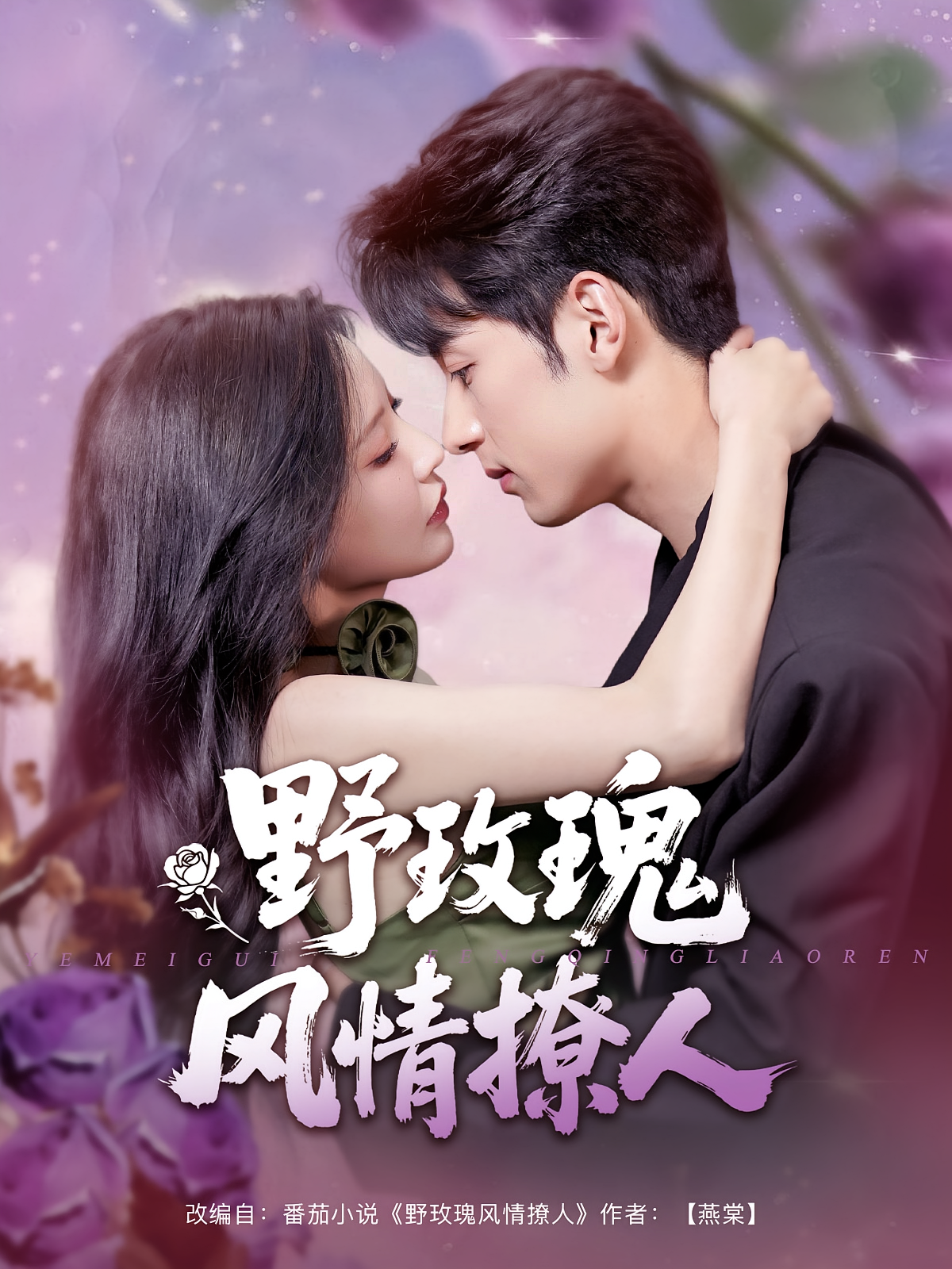 野玫瑰风情撩人 都市情感·都市·全85集 张屹杨&陈思澈