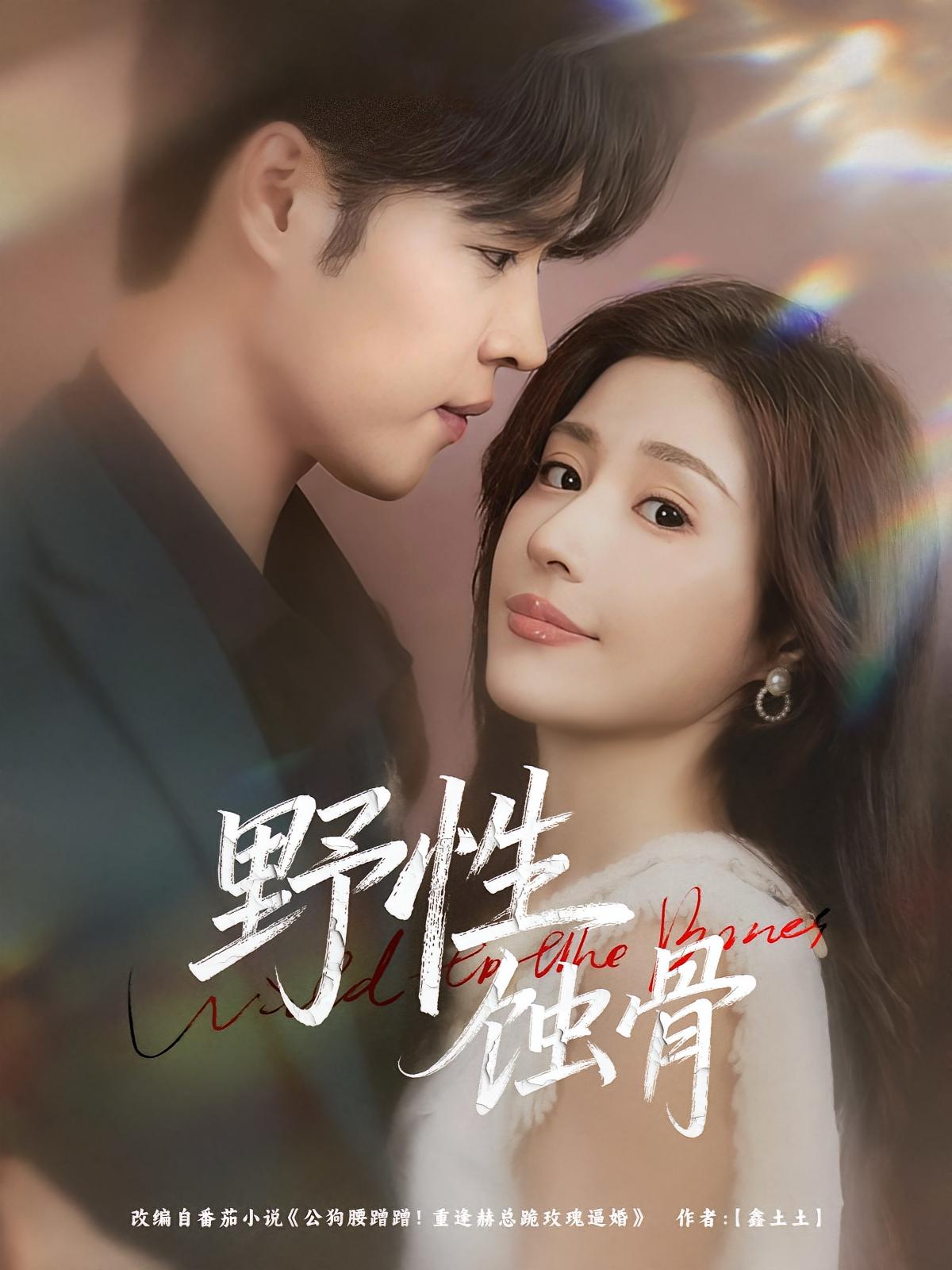 野性蚀骨 都市情感·都市·全86集 华雯&张达塬