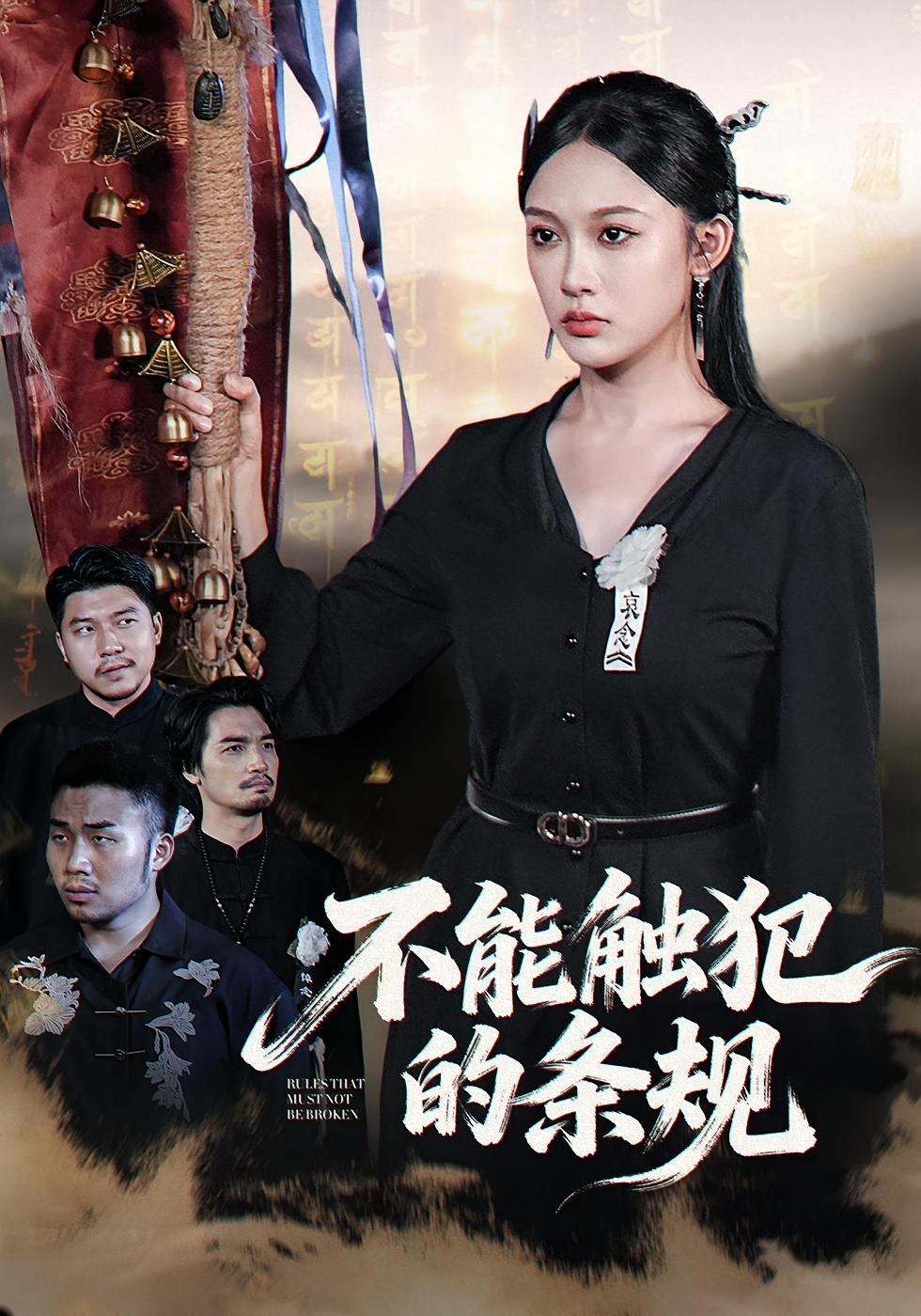 不能触犯的条规 悬疑情感·女强·全50集 张岩庭&童侃&张亚迪