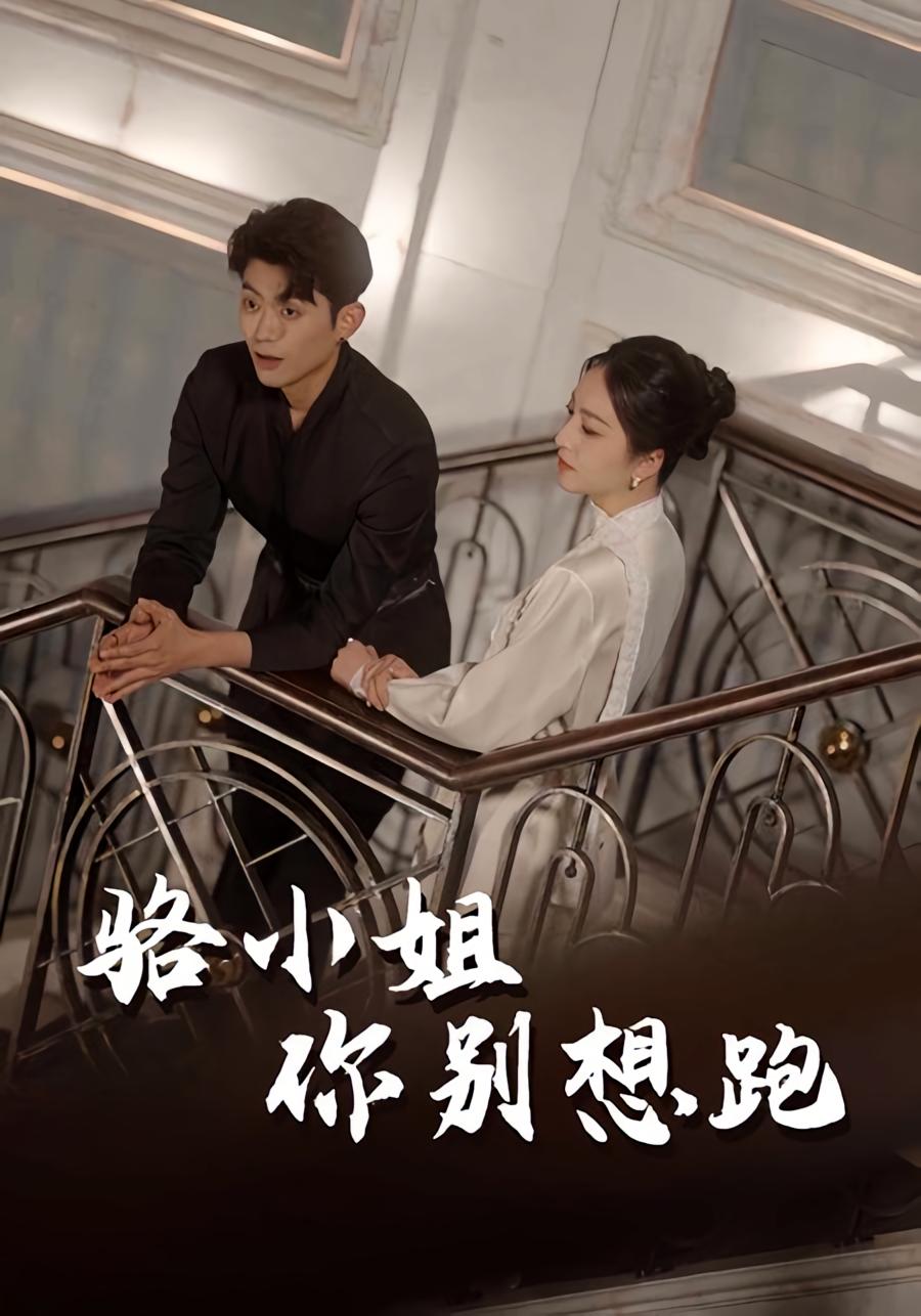 骆小姐你别想跑 都市情感·都市·全30集 夏玄子&隋佳&纪昱良