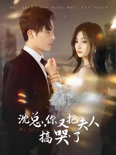 沈总你又把夫人搞哭了封面图
