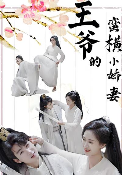 王爷的蛮横小娇妻封面图