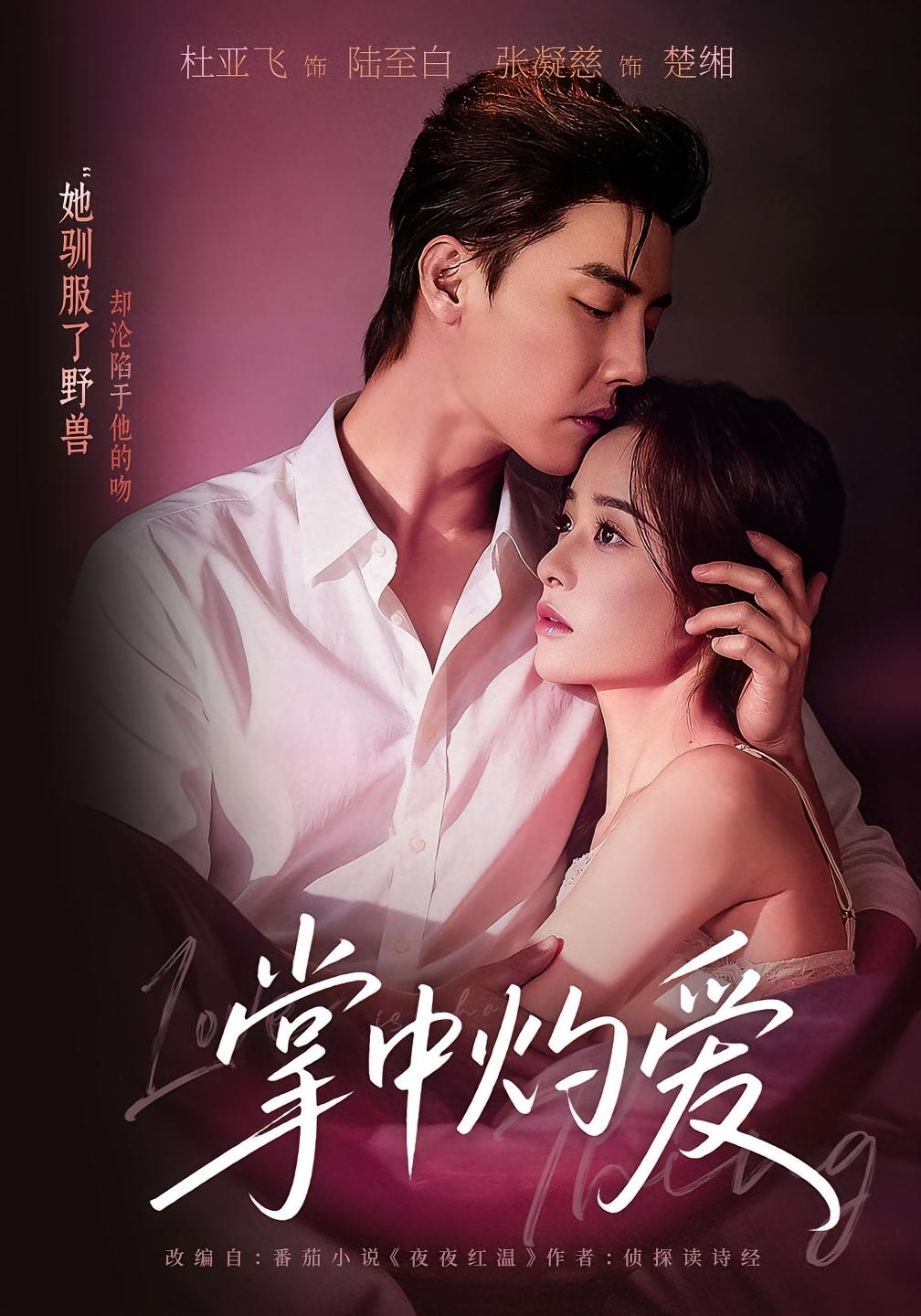 掌中灼爱 都市情感·都市·全62集 杜亚飞&张凝慈&张森境