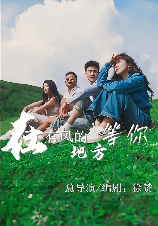 在有风的地方等你 乡村爱情·总裁·全32集 徐赞&孙颢菲