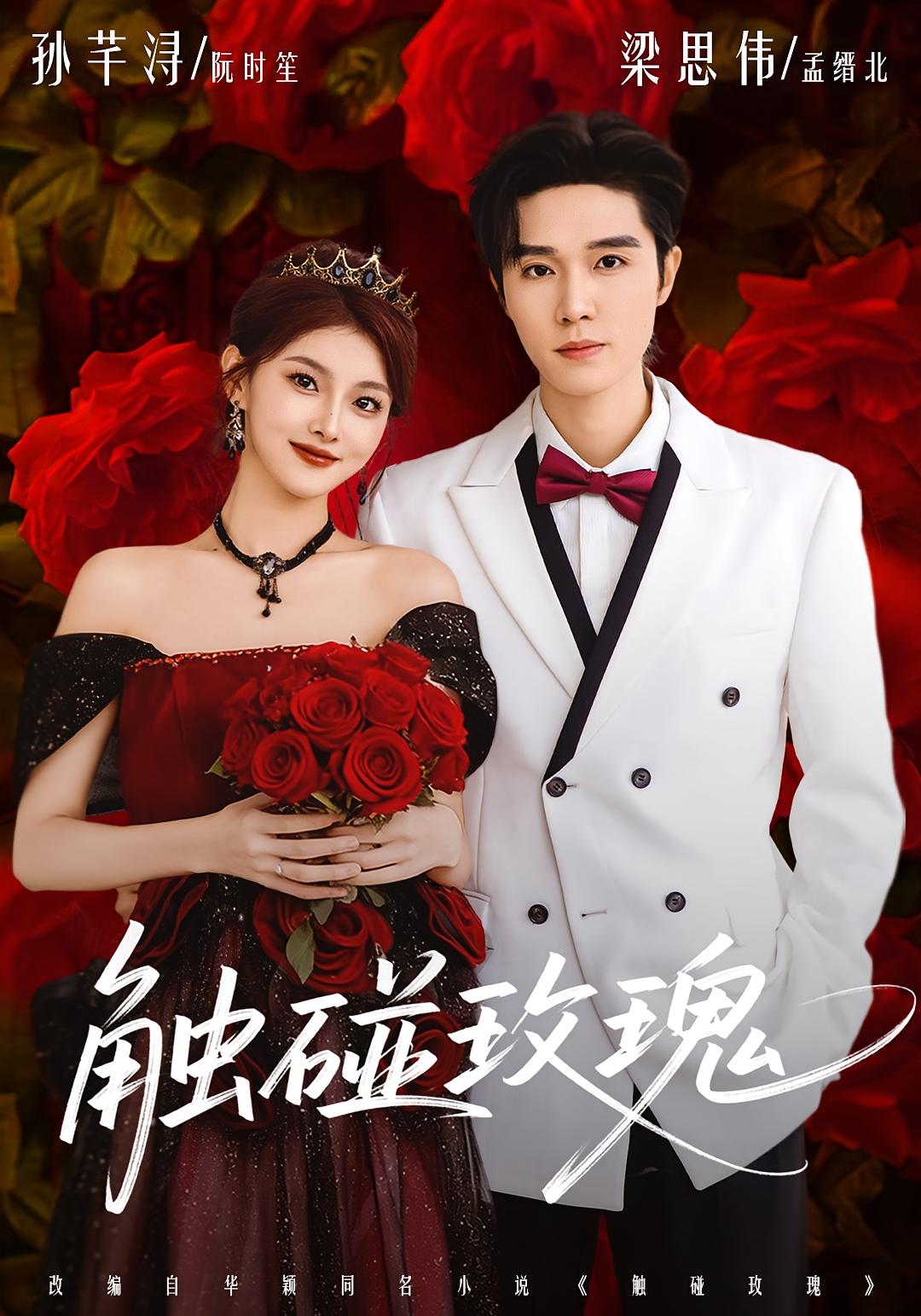 触碰玫瑰 都市情感·总裁·全80集 梁思伟&孙芊浔&安艺源