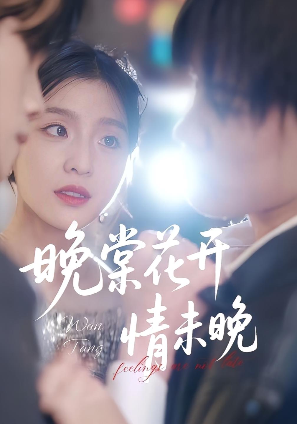 晚棠花开情未晚 都市情感·都市·全30集 刘灵灿&三金&马嘉铭