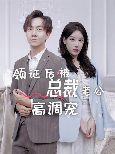 领证后被总裁老公高调宠