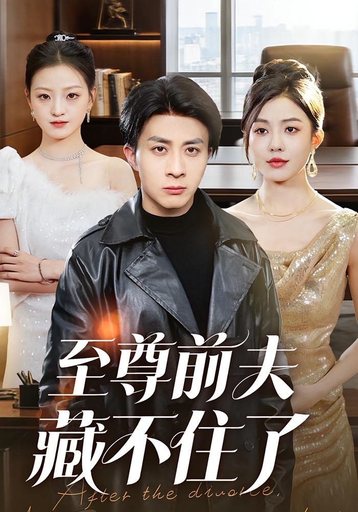 至尊前夫藏不住了 都市日常·马甲·全70集 椿添&孙军&张驰原