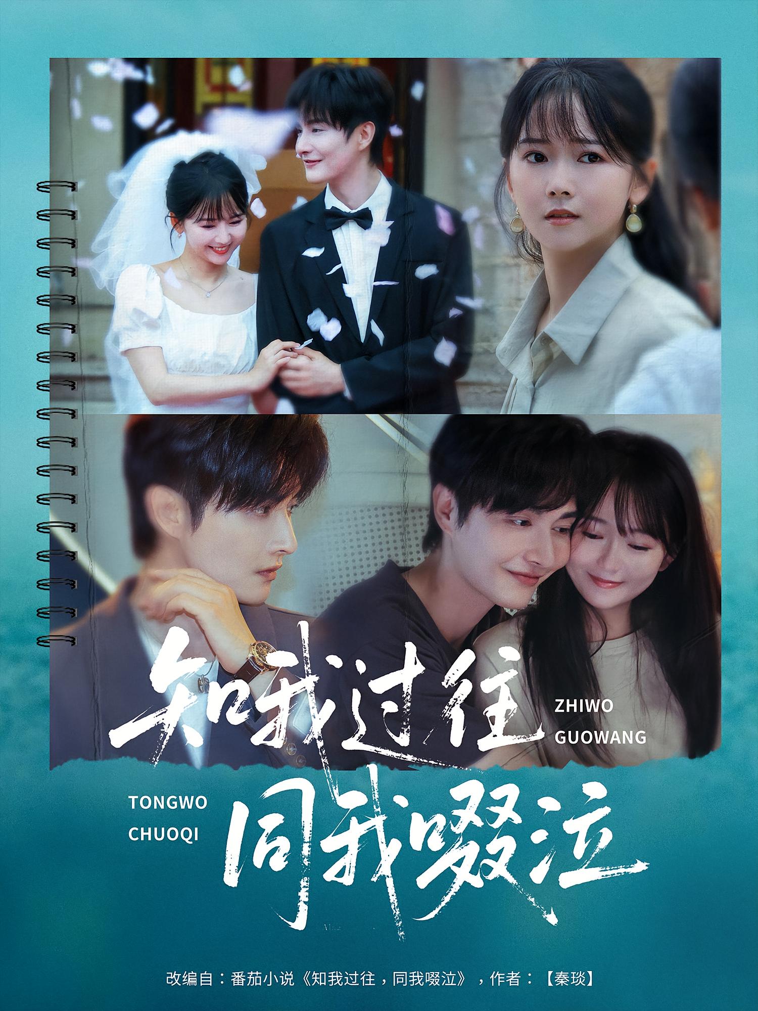 知我过往同我啜泣 现言虐恋·娱乐圈·全60集 李保峰&林潇&王雅淇