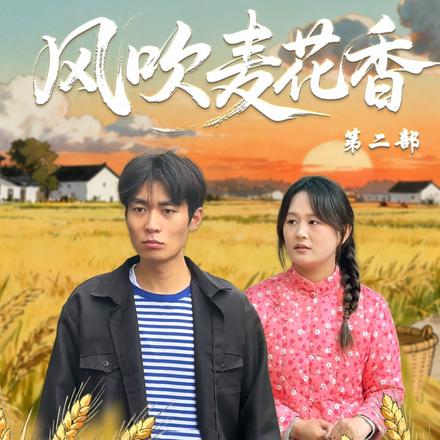 风吹麦花香第二部