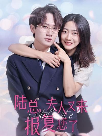 陆总夫人又来报复您了封面图