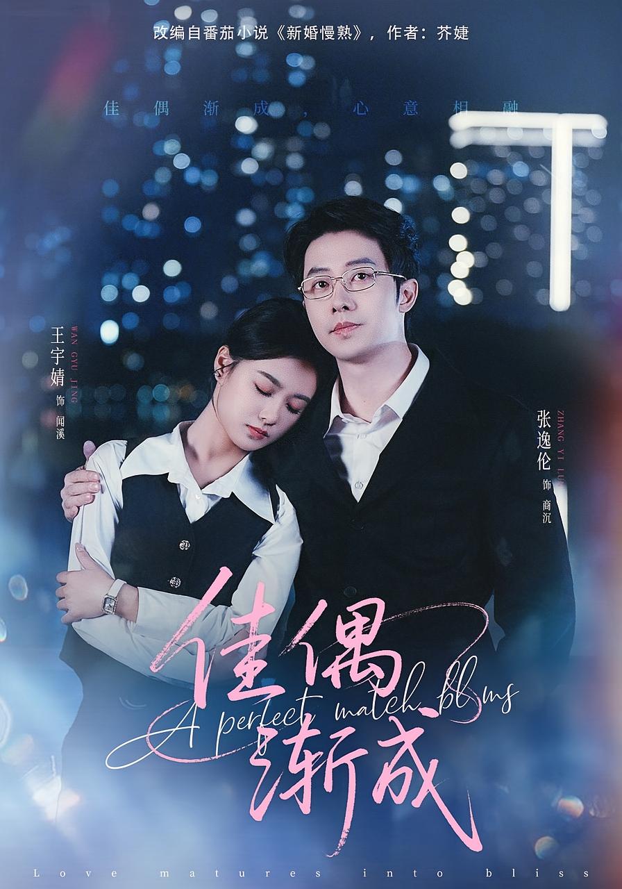 佳偶渐成 都市情感·都市·全71集 张逸伦&王宇婧&陈煜