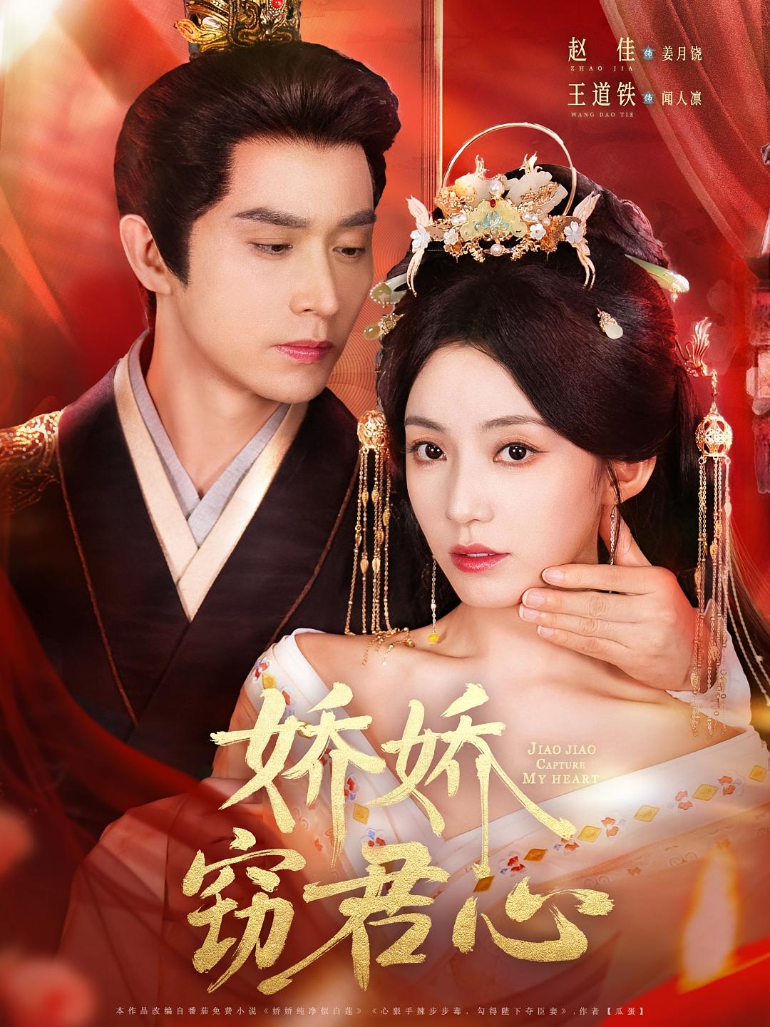 娇娇窃君心 宫斗宅斗·腹黑·全84集 提爱民&王子琪&王道铁