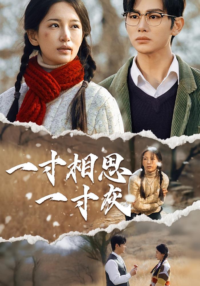 一寸相思一寸灰 年代爱情·年代·全43集 李雪莹