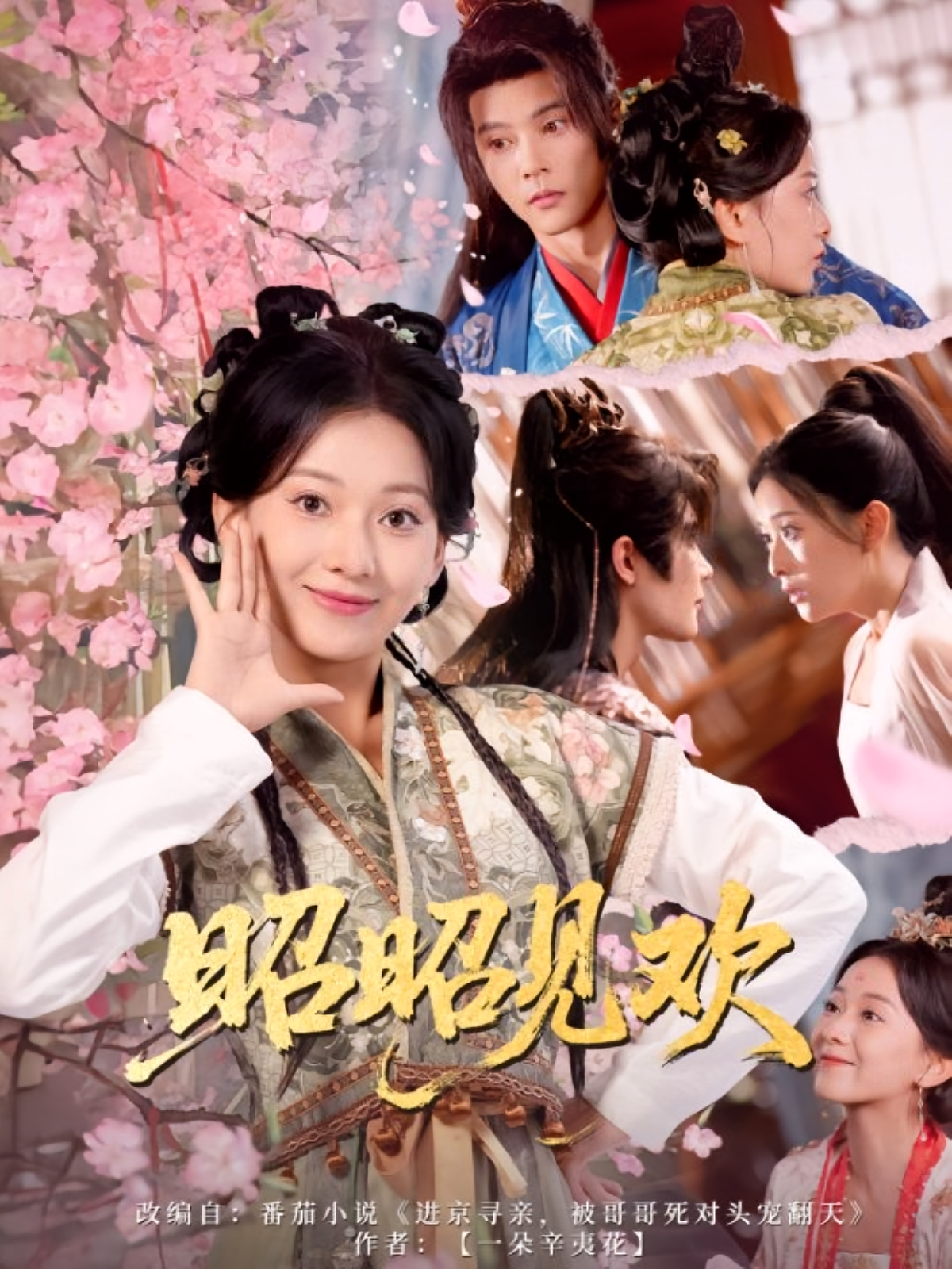 昭昭见欢 古风权谋·公主·全66集 蔺瑞雪&王笙滔&李俊辰