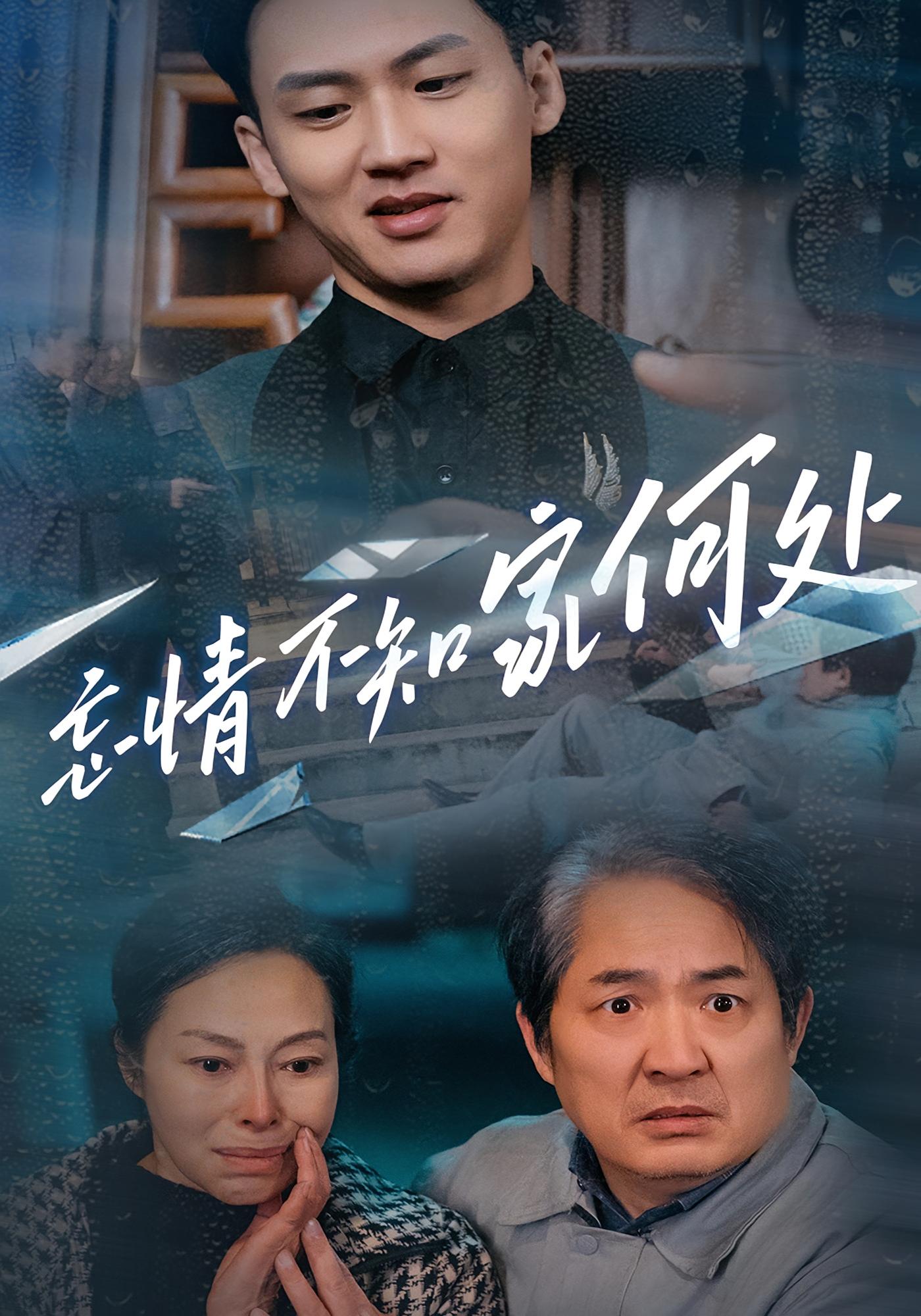 忘情不知家何处 都市日常·马甲·全53集 赵文明&田祖萌&汪新玲