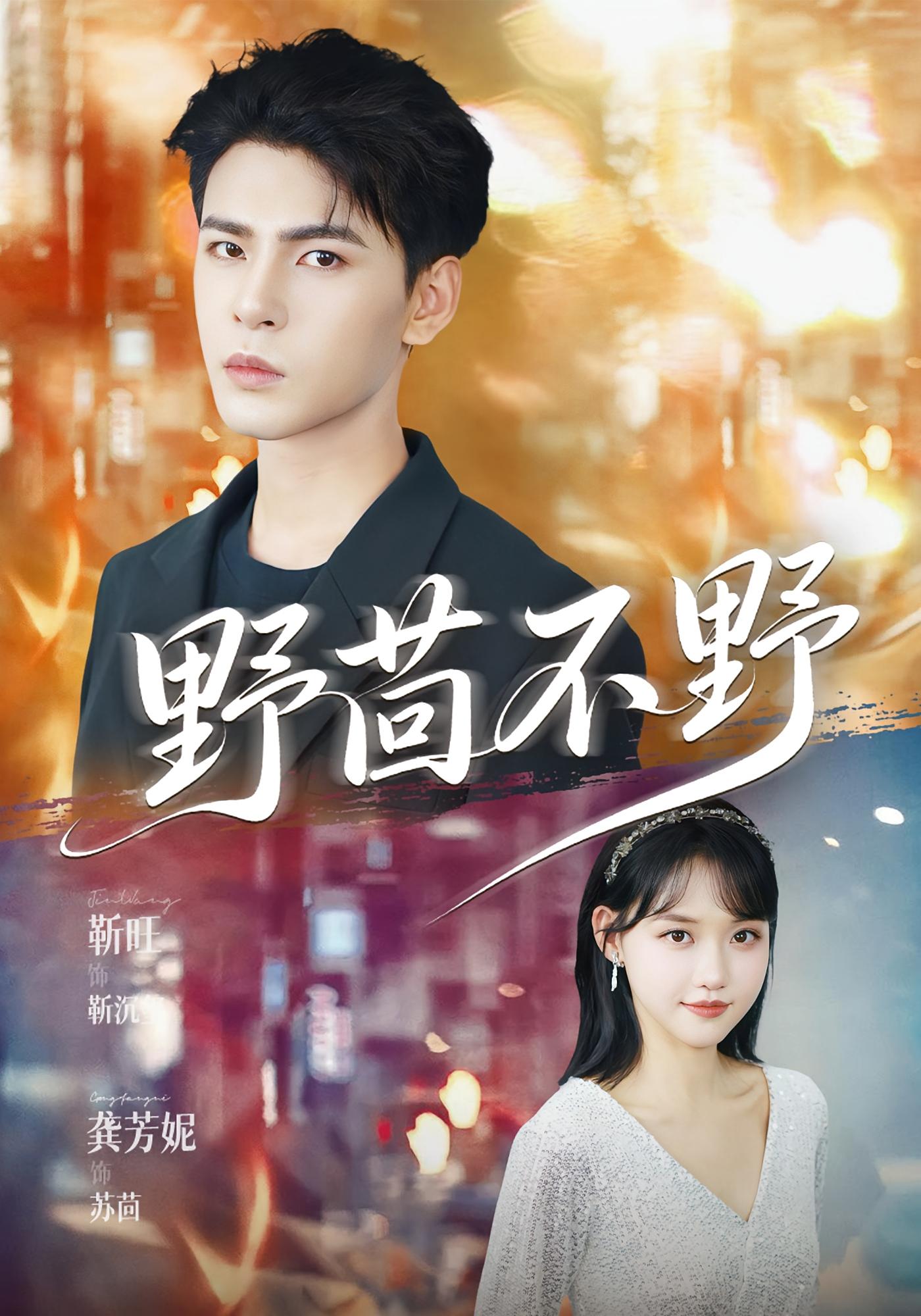 野茴不野 都市情感·总裁·全67集 靳旺&龚芳妮&李沝朔