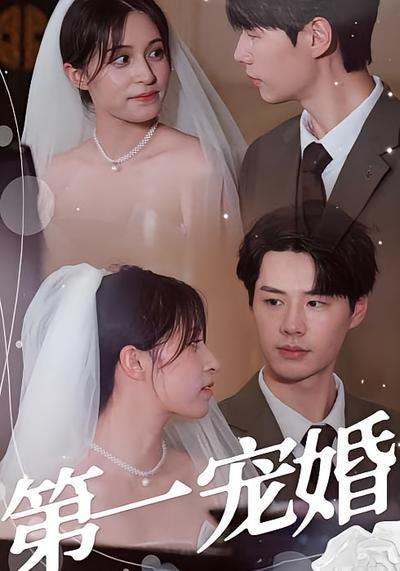 第一宠婚封面图